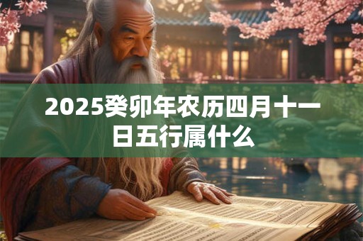 2025癸卯年农历四月十一日五行属什么