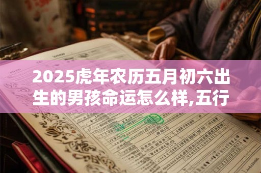 2025虎年农历五月初六出生的男孩命运怎么样,五行缺什么？