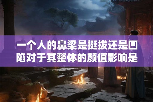 一个人的鼻梁是挺拔还是凹陷对于其整体的颜值影响是很大的
