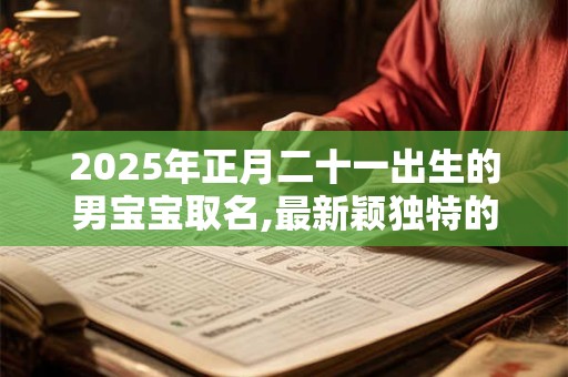 2025年正月二十一出生的男宝宝取名,最新颖独特的好名字