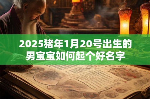 2025猪年1月20号出生的男宝宝如何起个好名字