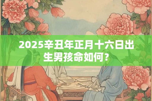 2025辛丑年正月十六日出生男孩命如何？
