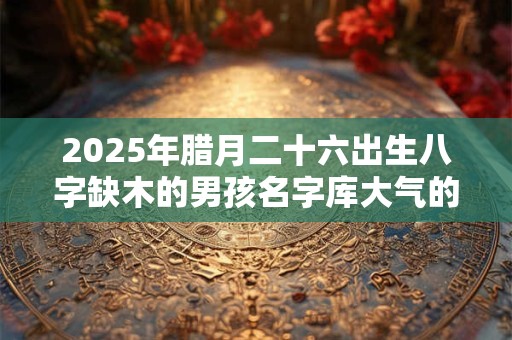 2025年腊月二十六出生八字缺木的男孩名字库大气的