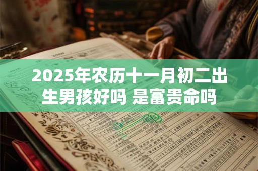 2025年农历十一月初二出生男孩好吗 是富贵命吗