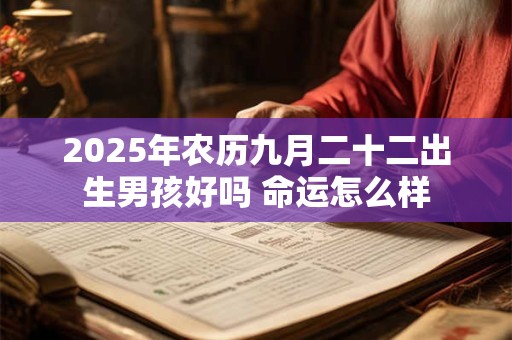 2025年农历九月二十二出生男孩好吗 命运怎么样