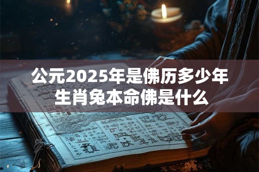 公元2025年是佛历多少年 生肖兔本命佛是什么