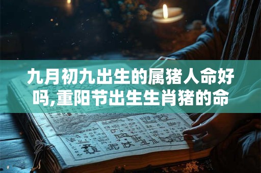 九月初九出生的属猪人命好吗,重阳节出生生肖猪的命运解析