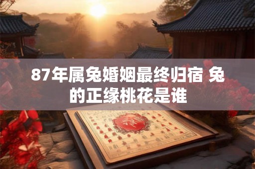 87年属兔婚姻最终归宿 兔的正缘桃花是谁