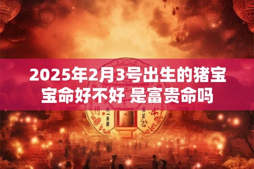 2025年2月3号出生的猪宝宝命好不好 是富贵命吗
