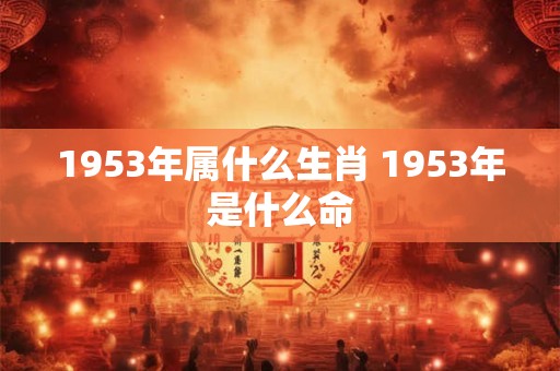 1953年属什么生肖 1953年是什么命