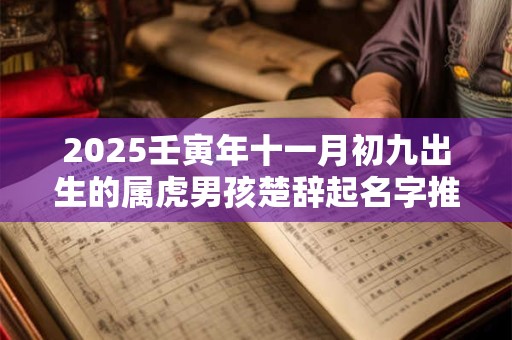 2025壬寅年十一月初九出生的属虎男孩楚辞起名字推荐