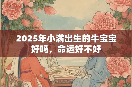 2026年小满出生的牛宝宝好吗，命运好不好