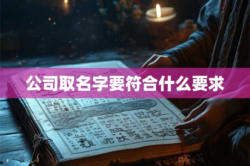 公司取名字要符合什么要求