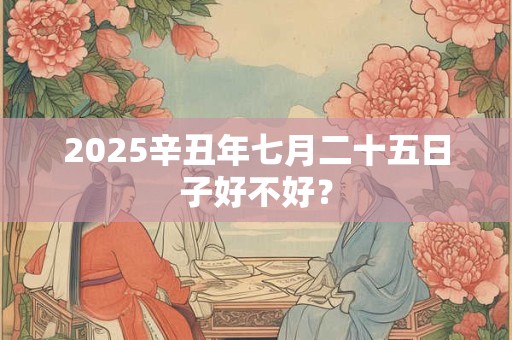 2025辛丑年七月二十五日子好不好？