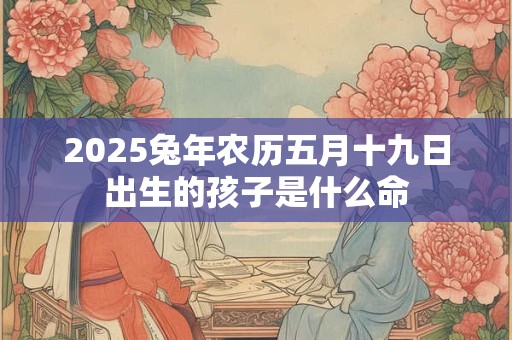 2025兔年农历五月十九日出生的孩子是什么命