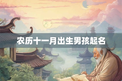 农历十一月出生男孩起名