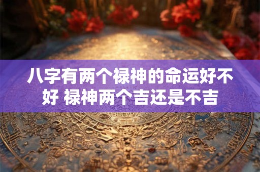 八字有两个禄神的命运好不好 禄神两个吉还是不吉