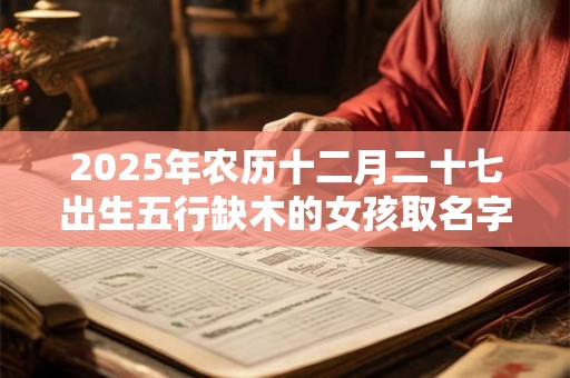 2025年农历十二月二十七出生五行缺木的女孩取名字