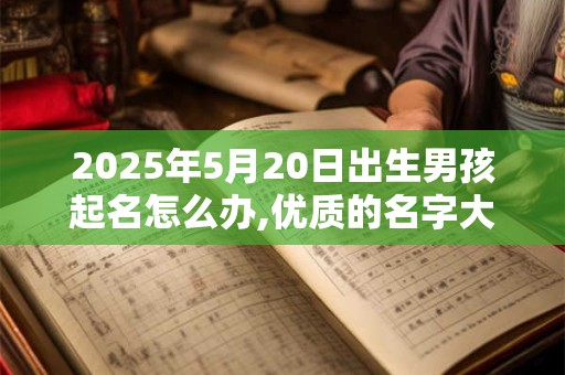 2025年5月20日出生男孩起名怎么办,优质的名字大全