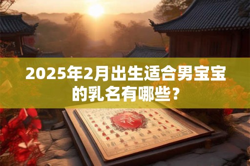 2025年2月出生适合男宝宝的乳名有哪些？
