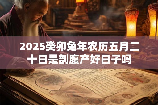详细阅读:2025癸卯兔年农历五月二十日是剖腹产好日子吗 2025癸卯兔年农历五月二十日是剖腹产好日子吗