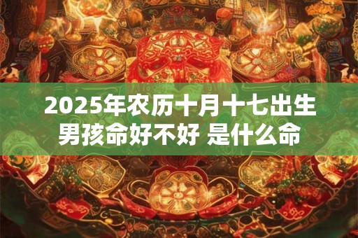 2025年农历十月十七出生男孩命好不好 是什么命