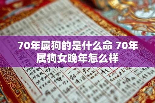 70年属狗的是什么命 70年属狗女晚年怎么样