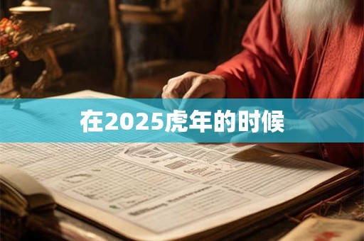 在2025虎年的时候
