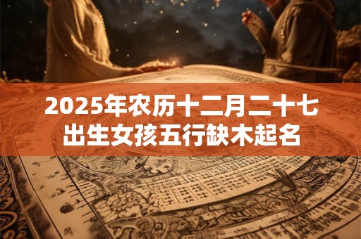 2025年农历十二月二十七出生女孩五行缺木起名