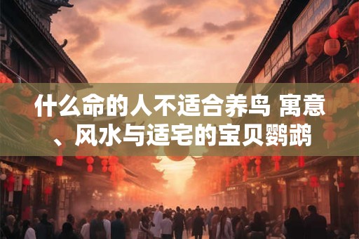 什么命的人不适合养鸟 寓意、风水与适宅的宝贝鹦鹉
