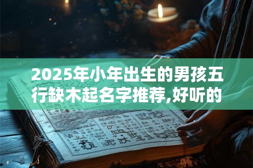 2025年小年出生的男孩五行缺木起名字推荐,好听的