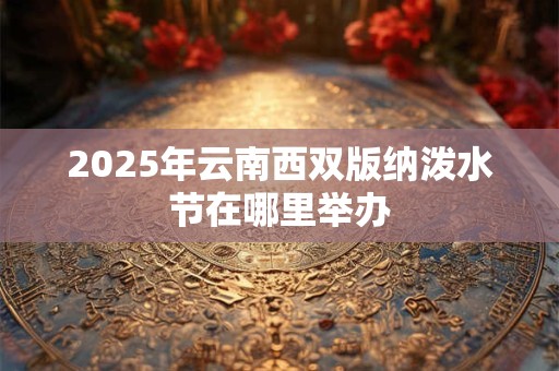 2025年云南西双版纳泼水节在哪里举办