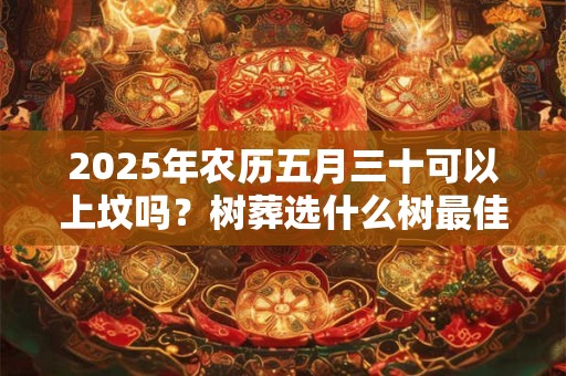 2025年农历五月三十可以上坟吗？树葬选什么树最佳？