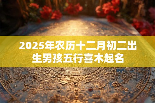 2025年农历十二月初二出生男孩五行喜木起名