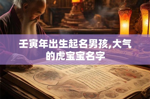 壬寅年出生起名男孩,大气的虎宝宝名字