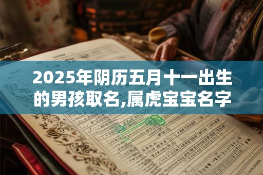 2025年阴历五月十一出生的男孩取名,属虎宝宝名字大全
