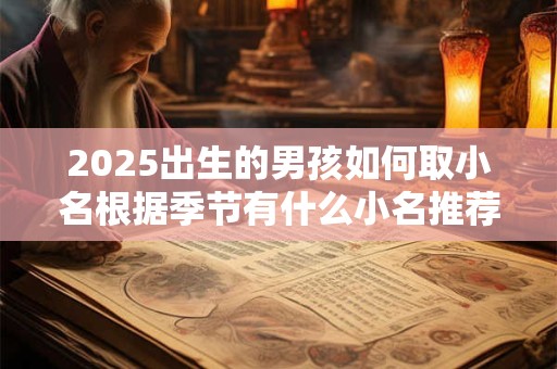 2025出生的男孩如何取小名根据季节有什么小名推荐？