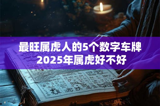最旺属虎人的5个数字车牌 2025年属虎好不好