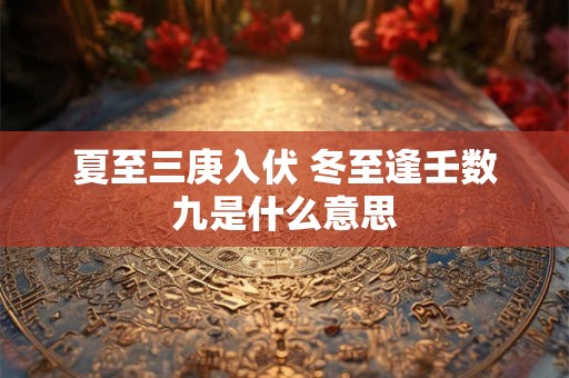 夏至三庚入伏 冬至逢壬数九是什么意思