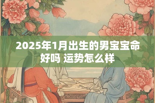 2025年1月出生的男宝宝命好吗 运势怎么样
