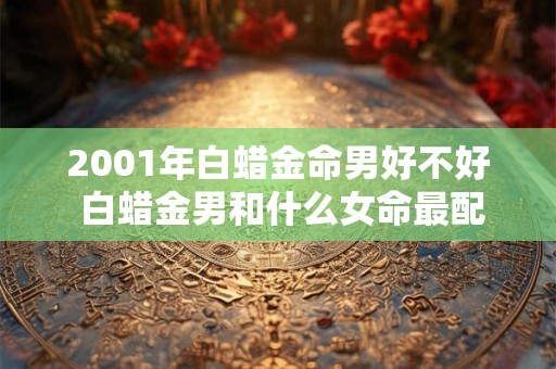 2001年白蜡金命男好不好 白蜡金男和什么女命最配