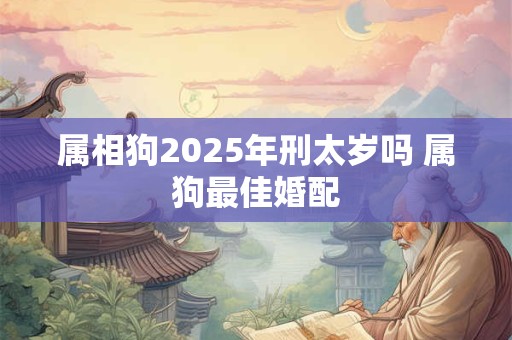 为什么伤官男不能要？日坐伤官男命克妻吗？