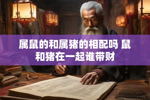 属鼠的和属猪的相配吗 鼠和猪在一起谁带财