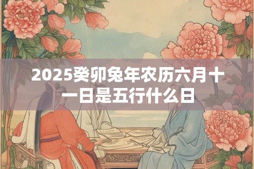 2025癸卯兔年农历六月十一日是五行什么日