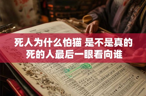死人为什么怕猫 是不是真的 死的人最后一眼看向谁