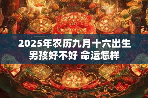 2025年农历九月十六出生男孩好不好 命运怎样