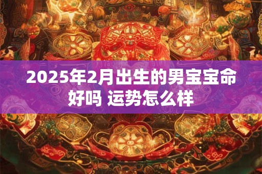 2025年2月出生的男宝宝命好吗 运势怎么样