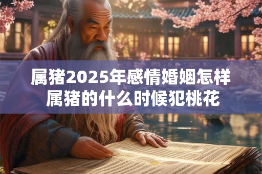 属猪2025年感情婚姻怎样 属猪的什么时候犯桃花