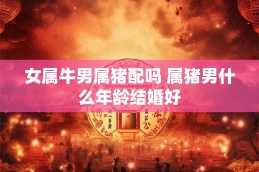 女属牛男属猪配吗 属猪男什么年龄结婚好