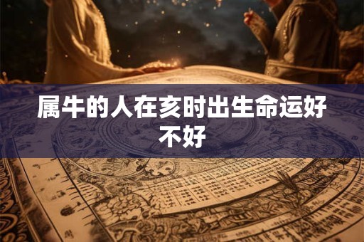 属牛的人在亥时出生命运好不好